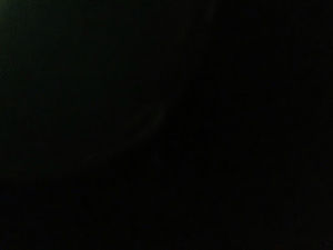 Meet your Posher, Owen